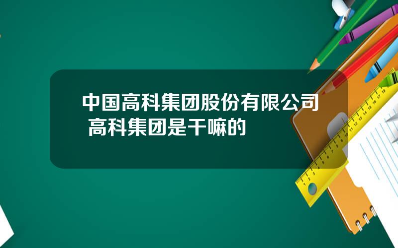 中国高科集团股份有限公司 高科集团是干嘛的